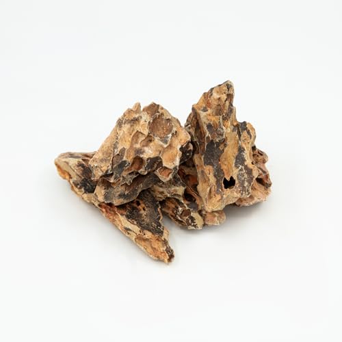 iQuatics Drachenfelsen für Aquarien, Mittelstück, Natursteinbildung für Aquarien, Dekoration, Aquascape, tropisches Aquarium, gepflanztes Aquarium, 1 kg iQuatics Drachenfelsen für Aquarien, Mittelstück, Natursteinbildung für Aquarien, Dekoration, Aquascape, tropisches Aquarium, gepflanztes Aquarium, 1 kg von iQuatics