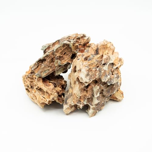 iQuatics Drachenfelsen für Aquarien, Mittelstück, Natursteinbildung für Aquarien, Dekoration für Aquarien, tropisches Aquarium, gepflanztes Aquarium, Verschiedene Farbgebung, 2,5 kg iQuatics Drachenfelsen für Aquarien, Mittelstück, Natursteinbildung für Aquarien, Dekoration für Aquarien, tropisches Aquarium, gepflanztes Aquarium, Verschiedene Farbgebung, 2,5 kg von iQuatics