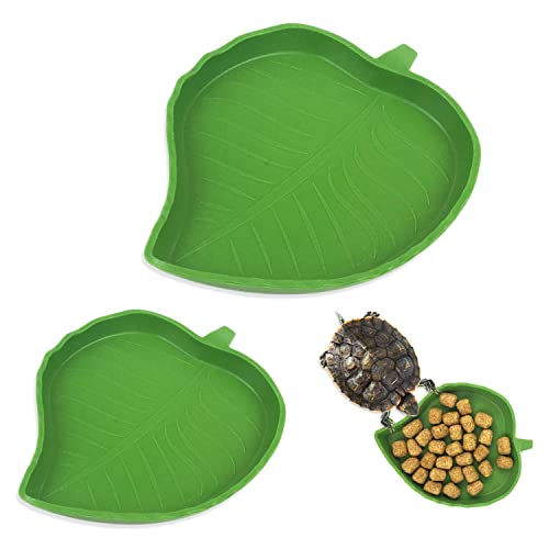 iTGOOS 2 Stück Blatt Reptilienschale Lebensmittel Wasser Bowl Platte Schale Corn Schlange Kriechen Haustier Trinken und Essen für Schlange Hamster Schildkröte Echsen iTGOOS 2 Stück Blatt Reptilienschale Lebensmittel Wasser Bowl Platte Schale Corn Schlange Kriechen Haustier Trinken und Essen für Schlange Hamster Schildkröte Echsen von iTGOOS