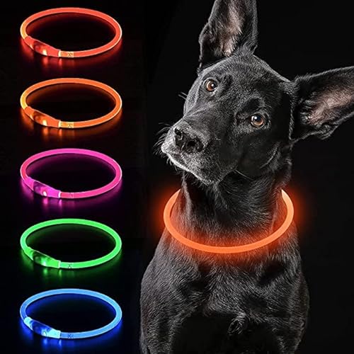 iTayga leuchthalsband Hund, USB-aufladbar und wasserdicht hundehalsband, verstellbare Länge, Sicherheitshalsband für Hunde und Katzen, 3 Modi, Orange von iTayga