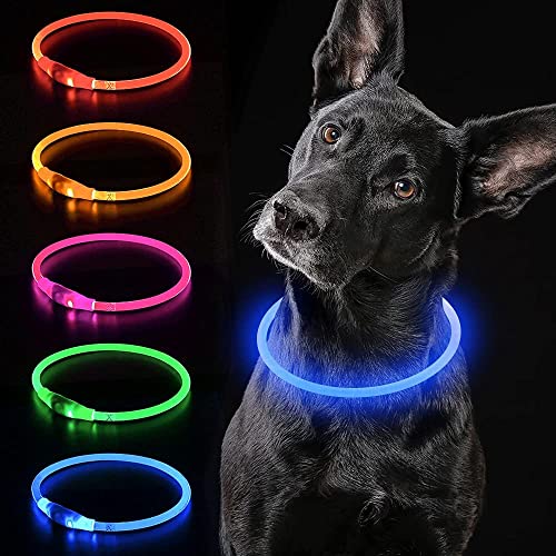 iTayga leuchthalsband Hund, USB-aufladbar und wasserdicht hundehalsband, verstellbare Länge, Sicherheitshalsband für Hunde und Katzen, 3 Modi, Blau von iTayga