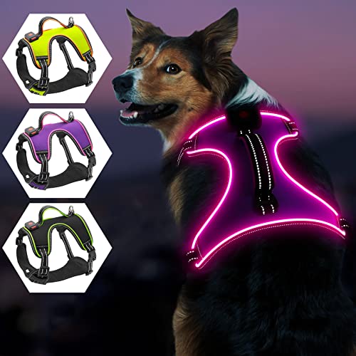 Leuchtendes Hundegeschirr, iTayga Ausbruchsicher, Kein Ziehen, Reflektierende, Verstellbare Hundeweste, USB-Wiederaufladbares Leuchtendes Nachtsicherheits Hunde Geschirrset(Lila - Rosa, L) von iTayga