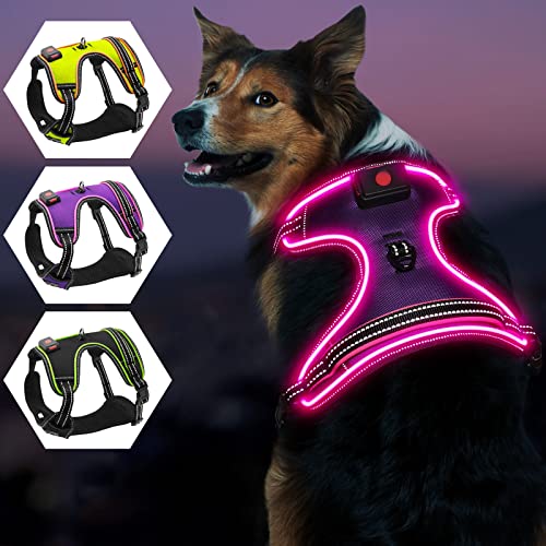 Leuchtendes Hundegeschirr, iTayga Ausbruchsicher, Kein Ziehen, Reflektierende, Verstellbare Hundeweste, USB-Wiederaufladbares Leuchtendes Nachtsicherheits Hunde Geschirrset(Lila - Rosa, S) von iTayga