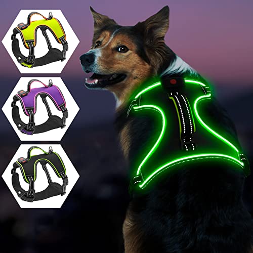 Leuchtendes Hundegeschirr, iTayga Ausbruchsicher, Kein Ziehen, Reflektierende, Verstellbare Hundeweste, USB-Wiederaufladbares Leuchtendes Nachtsicherheits Hunde Geschirrset(Schwarz - Grün, M) von iTayga