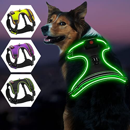 Leuchtendes Hundegeschirr, iTayga Ausbruchsicher, Kein Ziehen, Reflektierende, Verstellbare Hundeweste, USB-Wiederaufladbares Leuchtendes Nachtsicherheits Hunde Geschirrset(Schwarz - Grün, S) von iTayga