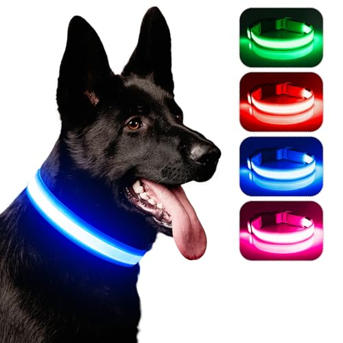 Leuchthalsband Hund, iTayga USB Aufladbar Led Hundehalsband Einstellbar Hundehalsband Leuchtend, Nacht-Sicherheitslicht Hundehalsband,TPU Wasserdicht, 3 Beleuchtungsmodi(Blau, L) von iTayga