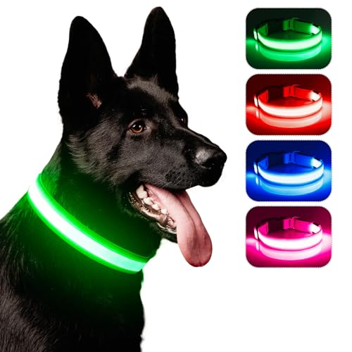 Leuchthalsband Hund, iTayga USB Aufladbar Led Hundehalsband Einstellbar Hundehalsband Leuchtend, Nacht-Sicherheitslicht Hundehalsband,TPU Wasserdicht, 3 Beleuchtungsmodi(Grün, L) von iTayga
