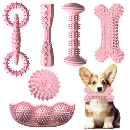 iYoway Kauspielzeug für kleine Hunde, weich, langlebig, interaktives Spielzeug für Welpen, Lila, 6 Stück (Rosa) von iYoway