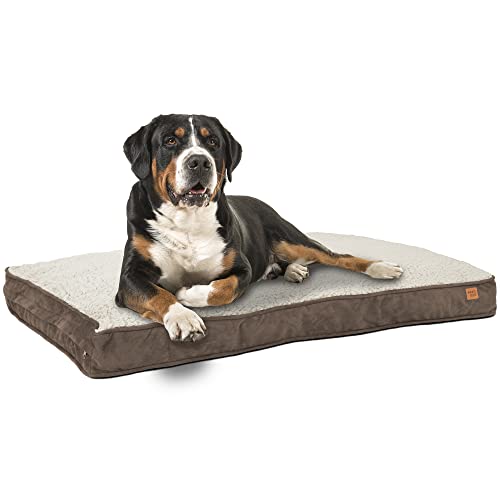 ib style® Happy Dreams Haustierbett | Hundematte | mit Reißverschluss | Anti-Rutsch Unterseite | XL (120x78cm) | Braun von ib style