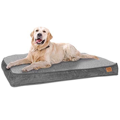 ib style Dreams Hundematte, Hundekissen waschbar, Hundematratze, Schlafplatz mittelgroße Hunde, Hundebett, Abnehmbarer Bezug, L Grau ib style Dreams Hundematte, Hundekissen waschbar, Hundematratze, Schlafplatz mittelgroße Hunde, Hundebett, Abnehmbarer Bezug, L Grau von ib style
