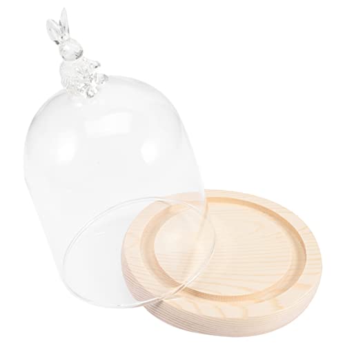 ibasenice 1 Satz Kerzenschirm Drinnen Ausstellungsständer Wohnaccessoires Anzeige Desktop-Abdeckung Für Blumenhandwerk Präsentationstablett Für Den Haushalt Glas ibasenice 1 Satz Kerzenschirm Drinnen Ausstellungsständer Wohnaccessoires Anzeige Desktop-Abdeckung Für Blumenhandwerk Präsentationstablett Für Den Haushalt Glas von ibasenice