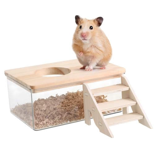 ibasenice Komplettes Badeset Für Hamster Katzentoilette Leiter Und Stabile Konstruktion ibasenice Komplettes Badeset Für Hamster Katzentoilette Leiter Und Stabile Konstruktion von ibasenice