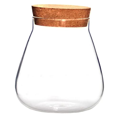 ibasenice 1 Stück Glasflasche Ornamente Terrarienschalen Pflanzen Moos-terrariumglas Terrariumglasbehälter Pflanze Terrarienflasche Vase Anlage Brown Flaschenverschluss Kork von ibasenice