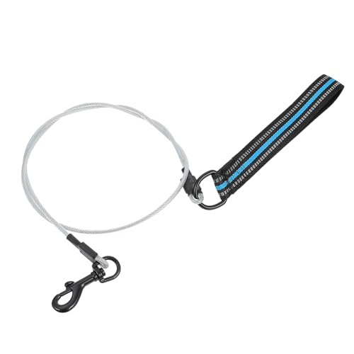 ibasenice 1 Stück Hundeleine Hundeseil Schild Ausbildung für Hunde im Freien gehen Tragbares Zugseil für Haustiere Haustierseil aus Stahldraht Haustier führen Leine mit Griff Nylon Blau ibasenice 1 Stück Hundeleine Hundeseil Schild Ausbildung für Hunde im Freien gehen Tragbares Zugseil für Haustiere Haustierseil aus Stahldraht Haustier führen Leine mit Griff Nylon Blau von ibasenice