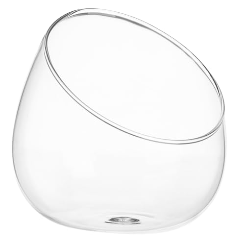 ibasenice 1 Stück Ökologisches Flaschengeschenk Blumenzwiebel Pflanzer Siphon-aquarienstaubsauger Fischtankreiniger Vasen Aquarienpflanzen Wasservase Flasche Zu Hause Uv-Lampe Transparent von ibasenice