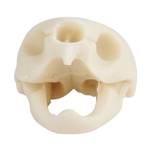 ibasenice 1 Stück Schildkröten-Schädel-Ornamente Aquarium Accessory Aquarium Accessories Weißes Aquarium- einzigartige Aquarium-Ornamente Landschaftsschmuck Schildkrötenschädel-Modell von ibasenice