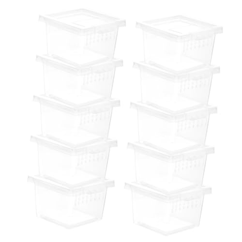 ibasenice 10Stücke Reptilien Fütterungsbox Teilig Transparentes Terrarium Für Insekten Und Kleine Reptilien Praktische Beobachtungs Und Transportlösung Für Schlangen Spinnen Geckos von ibasenice