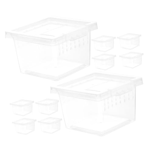 ibasenice 10 Stück Tragbare Reptilien Futterbox aus Kunststoff Transparent Atmungsaktiv für Bartagamen Eidechsen Spinnen Insekten Aufzuchtbox Reiseträger Futterbehälter für Reptilien ibasenice 10 Stück Tragbare Reptilien Futterbox aus Kunststoff Transparent Atmungsaktiv für Bartagamen Eidechsen Spinnen Insekten Aufzuchtbox Reiseträger Futterbehälter für Reptilien von ibasenice