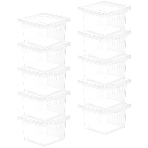ibasenice 10 Stück Reptilien Futterbox Transparente Reptilienzuchtbox Atmungsaktive Kunststoff Terrarium Kasten für Spinnen Geckos und Kleine Reptilien ibasenice 10 Stück Reptilien Futterbox Transparente Reptilienzuchtbox Atmungsaktive Kunststoff Terrarium Kasten für Spinnen Geckos und Kleine Reptilien von ibasenice