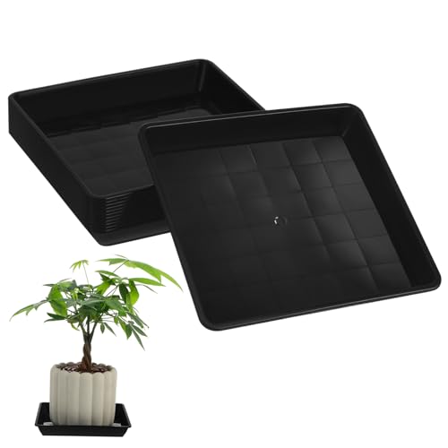 ibasenice 12 Stück Bodenmatte Für Blumentöpfe Innenpflanzen Stehen Mit Rädern Wasserschalenpflanze Tablett Für Pflanzentöpfe Pflanzetaucer Tablett Blumentopftablett Quadratisch Plastik Black von ibasenice