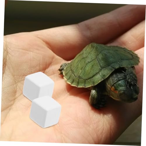ibasenice 12 Stück Teiliges Mineralblock für Reptilien und Krabben Natürliche Mineralien Chemikalien Vielseitig als Haustierzubehör zur Zahnpflege und Gesundheit von Eidechsen Schildkröten von ibasenice