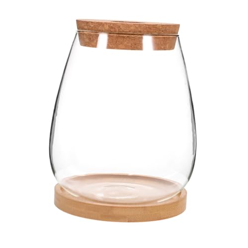ibasenice 1Satz Hydrokultur Terrarium mit Deckel Transparenter Pflanzenhalter für Moos und Landschaften Langlebig und Leicht für Kreative Dekoration im Innen ibasenice 1Satz Hydrokultur Terrarium mit Deckel Transparenter Pflanzenhalter für Moos und Landschaften Langlebig und Leicht für Kreative Dekoration im Innen von ibasenice