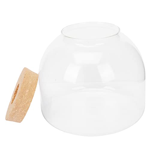 ibasenice 1Satz Mikrolandschaftsflasche Dekorative Ökologische Flasche für DIY Mikrolandschaften Transparentes Terrarium für Pflanzen und Moos Wohn und Bürozubehör von ibasenice