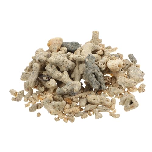 ibasenice 1Tasche Korallenfilter für Aquarienboden Natürliche Filtrationsmedien Zufällige Formen für Süß und Salzwasserumgebungen Korallensteine Filterbeutel für Klare ibasenice 1Tasche Korallenfilter für Aquarienboden Natürliche Filtrationsmedien Zufällige Formen für Süß und Salzwasserumgebungen Korallensteine Filterbeutel für Klare von ibasenice