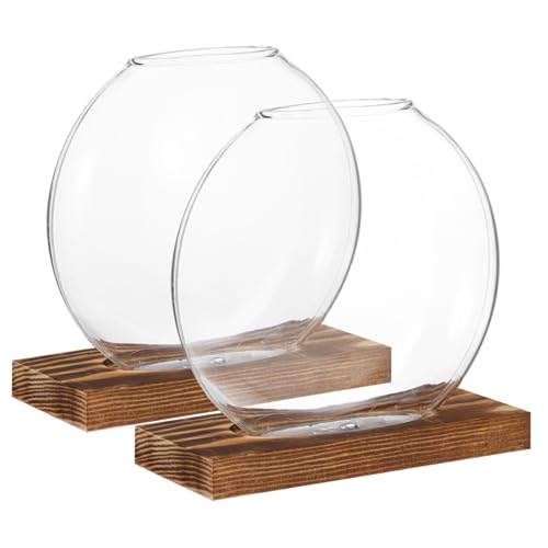 ibasenice 2 Sets Holzvase Kleine Glasvase Glaspflanzgefäß Vase Glasanzucht Terrarien Glasvasen Für Dekoration Schreibtisch Anzuchtstation Glaspflanzenhalter Pflanzenvase Aus von ibasenice
