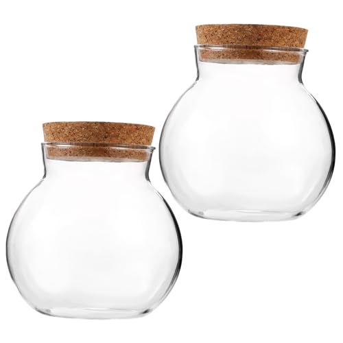 ibasenice 2 Stück Eco-Flasche Luftdichtes Glas Für Pflanzenterrarium Luftpflanze Pflanzer Luftpflanzenterrarium Terrarienglas Terrarium Versiegelt Kuppel Runden Kork ibasenice 2 Stück Eco-Flasche Luftdichtes Glas Für Pflanzenterrarium Luftpflanze Pflanzer Luftpflanzenterrarium Terrarienglas Terrarium Versiegelt Kuppel Runden Kork von ibasenice