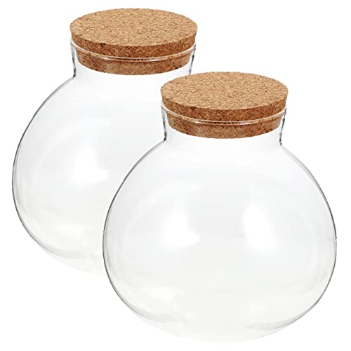 ibasenice 2 Stück Eco-Flasche Pflanzenwasservase Kugelpflanzen Terrarium Mikro-Landschaftsvase Halter für Luftpflanzen saftig Moos-Landschaftsbauflasche Einmachglas Kork von ibasenice