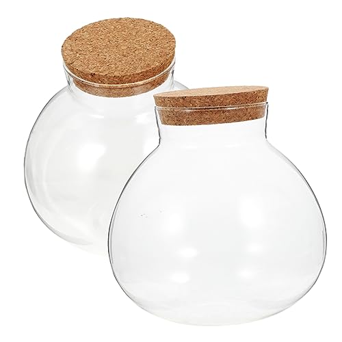 ibasenice 2 Stück Eco-Flasche dekorativer Mikro-Landschaftsbehälter Kugelförmige Terrarienflasche Tischterrarium saftig runden Flasche mit Mikrolandschaft Glas-Terrarium Kork ibasenice 2 Stück Eco-Flasche dekorativer Mikro-Landschaftsbehälter Kugelförmige Terrarienflasche Tischterrarium saftig runden Flasche mit Mikrolandschaft Glas-Terrarium Kork von ibasenice