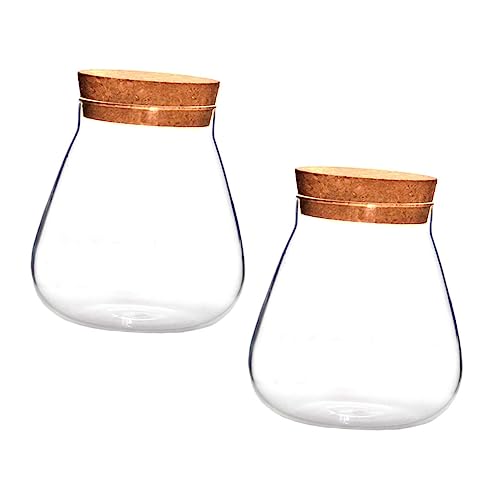 ibasenice 2 Stück Flasche Aus Korkglas Speichertopf Glasvase Mikrolandschaft Terrarium Landschaftsglas Hausbedarf Mikro-landschaftsflasche Verschlussglas Aus Glas Display-Topf Holz Brown von ibasenice