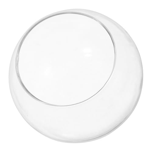 ibasenice 2 Stück Glasfischtank Fleischig Drinnen Flasche Lebendes Moos Terrarium Pflanzentopf Hochzeit Moosbehälter Pflanzenbehälter Dekoration Terrarienglas Landschaft Terrarium Glastank von ibasenice