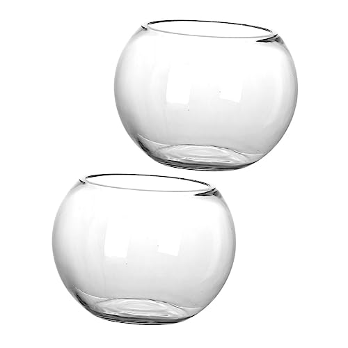 ibasenice 2 Stück Glasfischtank fleischig drinnen LED Container Pflanzgefäße für Zimmerpflanzen Pflanzenbehälter Landschaft Flasche Pflanzen Terrarium Pflanzterrarien saftiges Glas Glastank von ibasenice