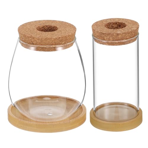 ibasenice 2 Stück Hydroponische Glas pflanzenvase Korkdeckel und Passendem Tablett Borosilikatglas Terrarium Pflanzgefäß für Zimmerpflanzen Stilvolle Vermehrungsstation mit Holzständer von ibasenice