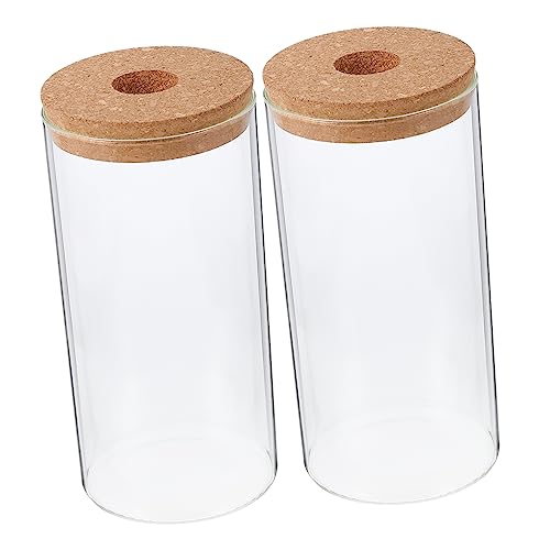 ibasenice 2 Stück Öko-Flasche Aus Glas Vase Links Flasche Mit Mikrolandschaft Ökologische Glasflasche Pflanzenflasche Aus Glas Landschaft Flasche DIY-mikrolandschaftsflasche Transparent von ibasenice