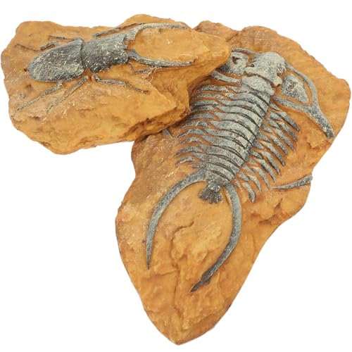 ibasenice 2 Stück Resin Fossil Dekorationen für Reptilien Terrarien Langlebige Sichere Landschaftsornamente für Heimdekoration Ideal für Schlangen und Kleine Haustiere Geeignet von ibasenice