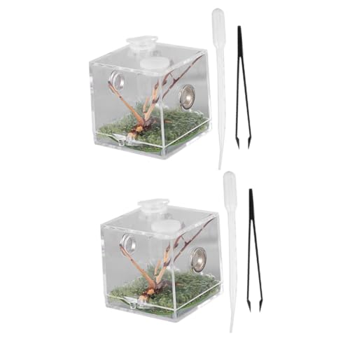 ibasenice 2 Stück Transparente Reptilien Zuchtbox aus klarem Kunststoff mit Pinzette und Pipette Kleine Terrarienähnliche Box für Spinnen und Insekten Tragbares Langlebiges Haustiergehäuse ibasenice 2 Stück Transparente Reptilien Zuchtbox aus klarem Kunststoff mit Pinzette und Pipette Kleine Terrarienähnliche Box für Spinnen und Insekten Tragbares Langlebiges Haustiergehäuse von ibasenice
