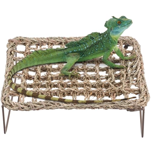 ibasenice 2Stücke Eidechsen Hängematte Handgefertigte Reptilienliege aus Natürlichen Grasmaterialien Abnehmbar und Waschbar Design für Terrarium Dekoration von ibasenice