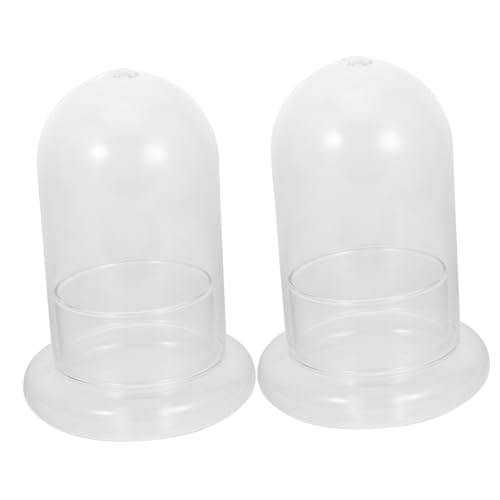 ibasenice 2Stücke Mikrolandschaftsflasche Ökologische Terrarienflasche Für Dekoration DIY Glasgefäß Für Flaschengärten Und Pflanzenarrangements von ibasenice