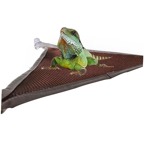 ibasenice 2stücke Hängematte Für Reptilien Mesh Pet Hängematte Reptilien Hängebett Hängebett Für Haustiere Pet Hängematte Spielzeug Hängespielzeug Für Für Kleine Eidechsen von ibasenice