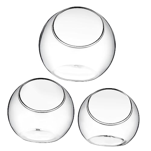 ibasenice 3 Stück Hydroponik Luftpflanzenterrarium Behälter Für Luftpflanzen Klein Blumenschale Vasen Schüssel Groß Erwachsene Luftpflanzen Terrarien Schale Vase Aquarium Transparent Glas von ibasenice