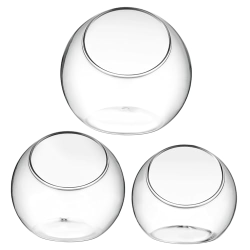 ibasenice 3 Stück Hydroponik Terrarienschale Terrariumbehälter Pflanzterrarien Vasen Wohnkultur Container bürodeko büro Dekoration pflanzplane saatstreuer Glasschalen Vase Pot Transparent von ibasenice