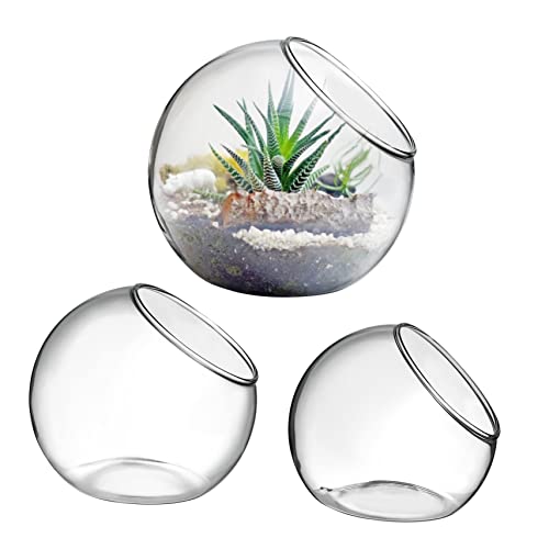 ibasenice 3 Stück Hydroponik bürodeko büro Dekoration tischdeko esstisch zimmerpflanzen Office Decoration Tischplatte Glas Luftpflanzentöpfe Terrarium für Pflanzen Vase Pot Transparent von ibasenice