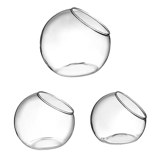 ibasenice 3Stücke Glasterrarium Ökologische Flaschen für Miniaturgärten Hochwertige Glasbehälter für Sukkulenten und Mooslandschaften für Moderne von ibasenice
