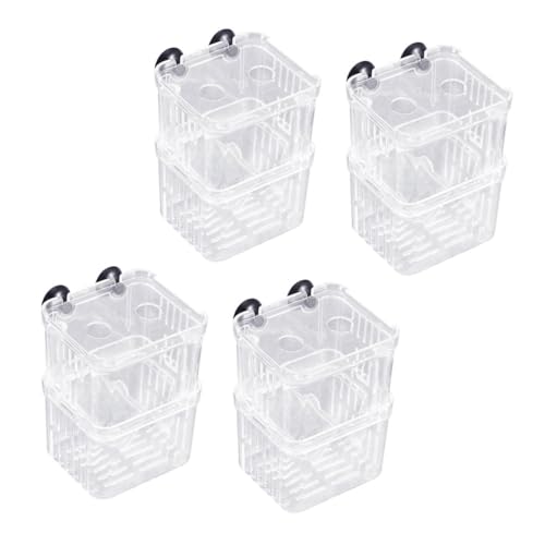 ibasenice 4 Stück Teiliges Aquarium Aufzuchtbecken Doppelstöckige Fischzuchtbox aus Klarem Material für Betta Clownfische und Jungfische Sicheres Isolationsgehäuse zur Vermeidung von ibasenice 4 Stück Teiliges Aquarium Aufzuchtbecken Doppelstöckige Fischzuchtbox aus Klarem Material für Betta Clownfische und Jungfische Sicheres Isolationsgehäuse zur Vermeidung von von ibasenice