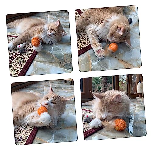 ibasenice 4Stücke Katzenfeder Ball Mit Buntem Tube Interaktives Katzentraining Für Haustiere Zufällige Fördert Und Bewegung ibasenice 4Stücke Katzenfeder Ball Mit Buntem Tube Interaktives Katzentraining Für Haustiere Zufällige Fördert Und Bewegung von ibasenice