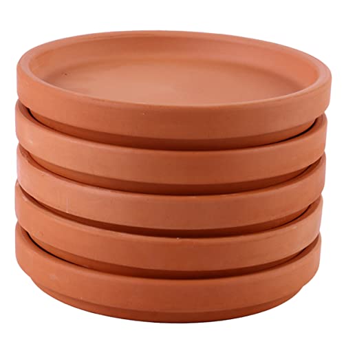 ibasenice 5 Stück Blumentopfmatte Untersetzer für Pflanzenentwässerung Topfpflanze Tablett Pflanzentopf Untersetzer Pflanzentopf Abtropfschale Teller mit Blumentopf Pflanzschale Terrakotta ibasenice 5 Stück Blumentopfmatte Untersetzer für Pflanzenentwässerung Topfpflanze Tablett Pflanzentopf Untersetzer Pflanzentopf Abtropfschale Teller mit Blumentopf Pflanzschale Terrakotta von ibasenice