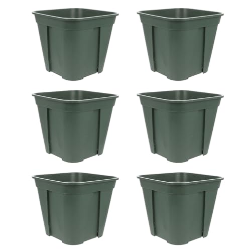 ibasenice 6 Stück Topf Zur Wurzelkontrolle Blumentöpfe Anzuchttöpfe Für Pflanzen Quadratische Kindergarten -töpfe Anlage Kinderzimmer Töpfe Pflanzentopf Pflanzenbehälter Green Plastik ibasenice 6 Stück Topf Zur Wurzelkontrolle Blumentöpfe Anzuchttöpfe Für Pflanzen Quadratische Kindergarten -töpfe Anlage Kinderzimmer Töpfe Pflanzentopf Pflanzenbehälter Green Plastik von ibasenice
